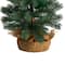 3ft. Pre-Lit Green Pine Artificial Christmas Tree with Burlap Base, Warm White Lights